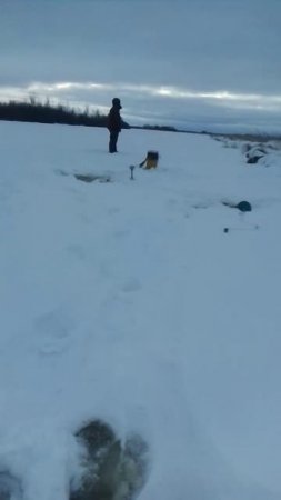 Рыбалка неклевалка .