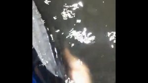 Приучаем рыбу есть с рук