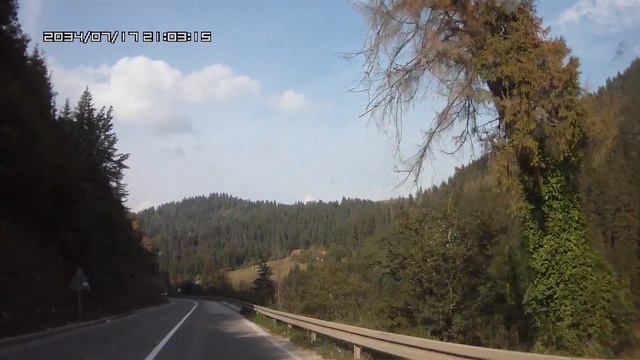 0036   Сербия  Лес в горах  Сентябрь 2018 г смотреть онлайн