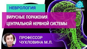 Профессор Чухловина М.Л.: Вирусные поражения центральной нервной системы