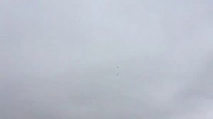 Игра и лет бакинских широкохвостых голубей.