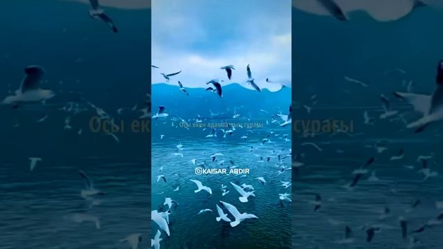 😍БАҚЫТ ДЕГЕН😍 авторы: Мұнайдар Балмолда & оқыған: Қайсар Берікұлы (ҚАЗАҚША ПОЭЗИЯ-2021)