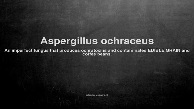 Medical vocabulary: What does Aspergillus ochraceus mean смотреть онлайн