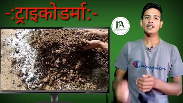 #Indianagriculture #Trichoderma ट्राइकोडर्मा का उपयोग कैसे करें। смотреть онлайн
