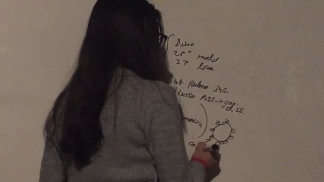 Paracoccidioides. Hongos. смотреть онлайн