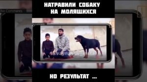 собаку натравили на мусульман которые молились и вот результат нет бога кроме Аллаха