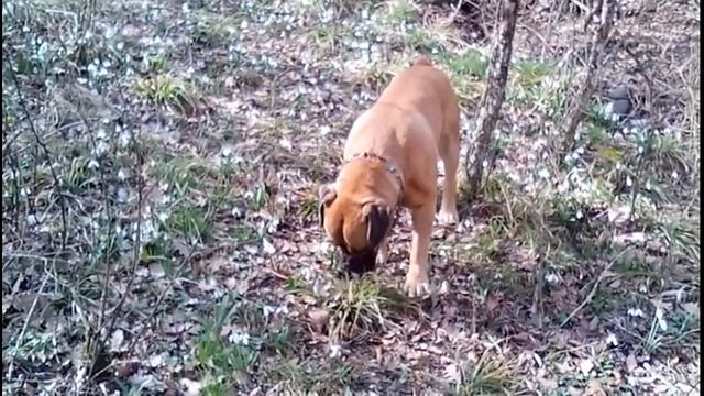 Алушта-это не только море смотреть онлайн