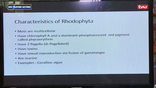 BBY1210 LESSON 4 KINGDOM FUNGI смотреть онлайн