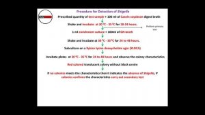 Bacteria Identification. How to find Bacteria Video? Detect presence of bacteria.