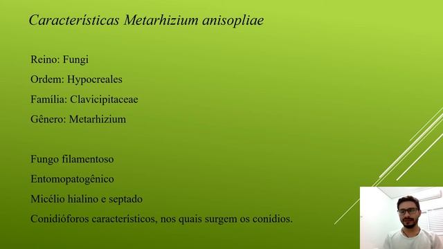 Metarhizium anisopliae - Entomologia Agrícola смотреть онлайн