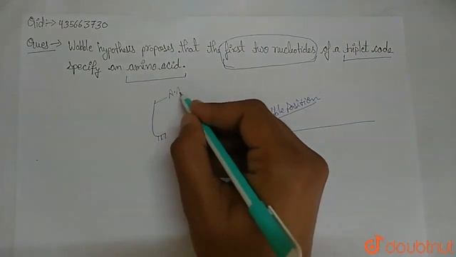 Wobble hypothesis proposes that the first two nucleotides of a triplet code specify an amino aci... смотреть онлайн