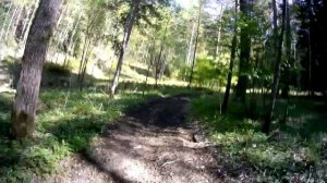 Квадробукс росомаха 500