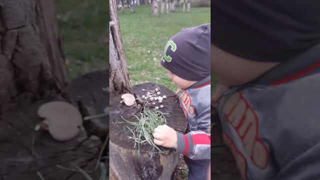 Улитки. смотреть онлайн