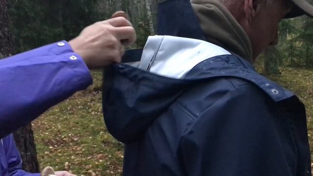 Универсальная корзинка для грибов и ягод смотреть онлайн