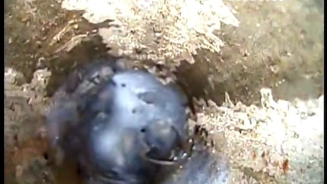 Sewer / pipelines inspection camera with 17mm，23mm, 40mm lens inspection video смотреть онлайн