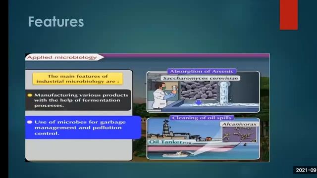 Introduction to Microbiology/Industrial Microbiology,Dairy Products/By Shilpa Chhatraband
