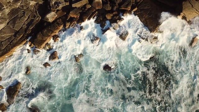 Велит - идёшь. Евгения Коломыцева Янис Пранч