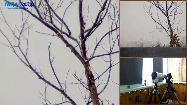 Зима в Астротеатре смотреть онлайн