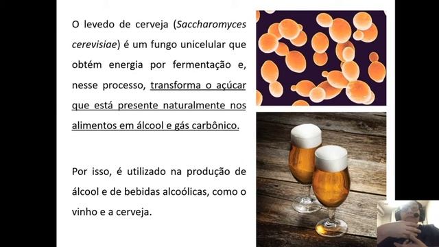PROTOZOÁRIOS, ALGAS E FUNGOS PARTE 9 смотреть онлайн