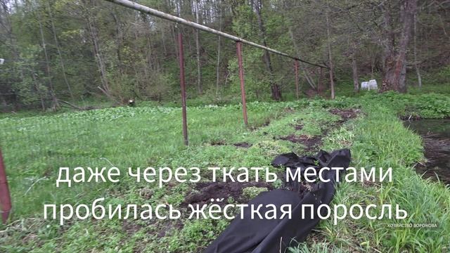 Чёрная ткань не оправдала. Трава пробивает