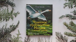 Чудесное путешествие Нильса с дикими гусями. 100 Лучших книг. Лагерлеф Сельма.