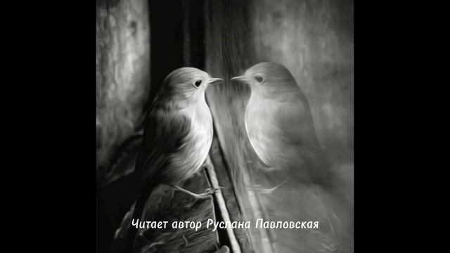 Ты Ахматовой строки выдавал за свои смотреть онлайн