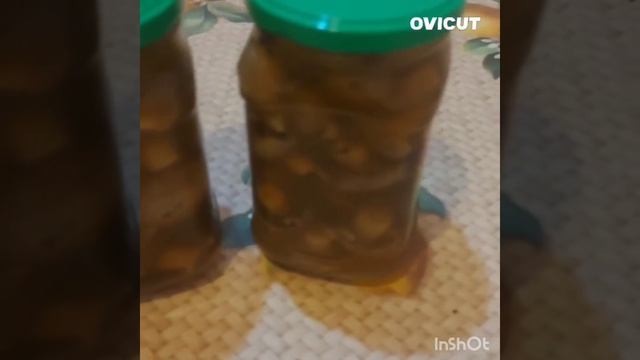 Маринованные грибы #mushroom смотреть онлайн