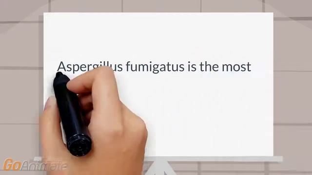 What is the most common aspergillus infection? смотреть онлайн