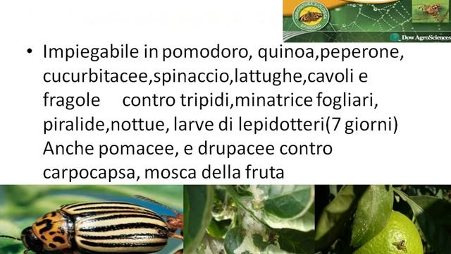 Difesa fitosanitaria in produzione integrata смотреть онлайн