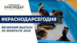 Спасение птиц в Анапе, развитие Станко инструментально промышленности, 82 года