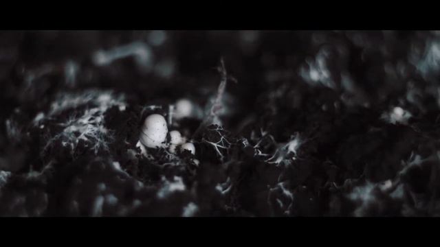 Аквамарин смотреть онлайн