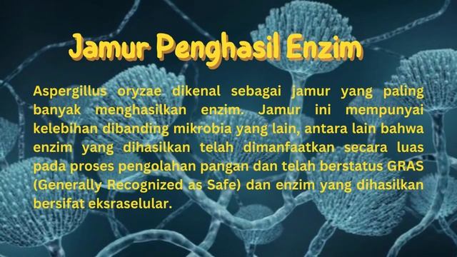 【Mikrobiologi Industri】Aspergillus oryzae смотреть онлайн