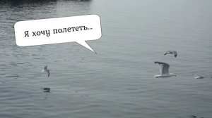 Клип родителям на рубиновую годовщину свадьбы