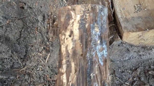 ТРИХОДЕРМА,БИО-ФУНГИЦИД...БЕСПЛАТНО И РЯДОМ. смотреть онлайн