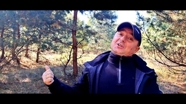 ТРОФЕЙНАЯ ГРИБАЛКА 2023 КАМРАД #трофей #грибалка #продвижение смотреть онлайн