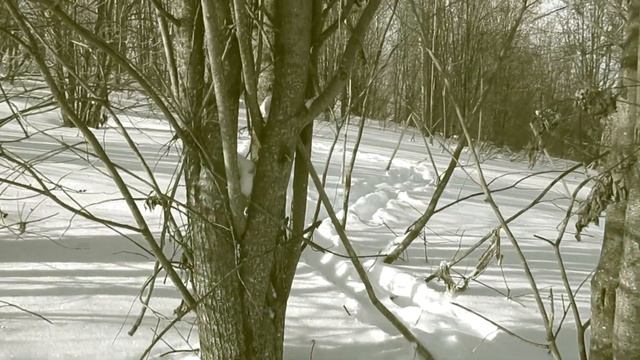 Упал-Вставай! смотреть онлайн