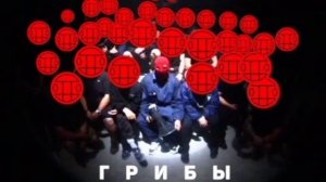 Музыка-копы (Грибы)