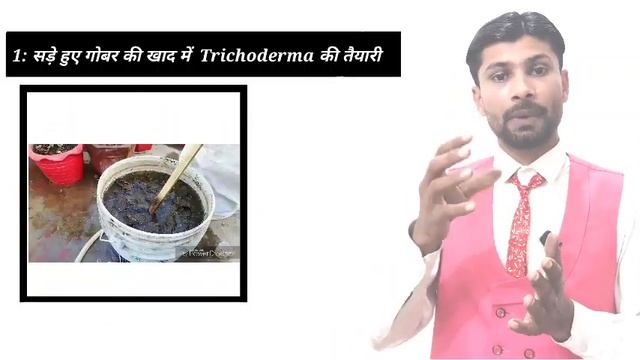 टरइकडरम trichoderma  Trichoderma स seed treatment in Hindi  English