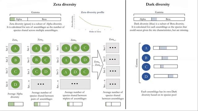 Філогенетичне різноманіття. Частина 2 смотреть онлайн