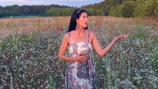 Стихотворение Предназначение. Автор Александра Ермишина.