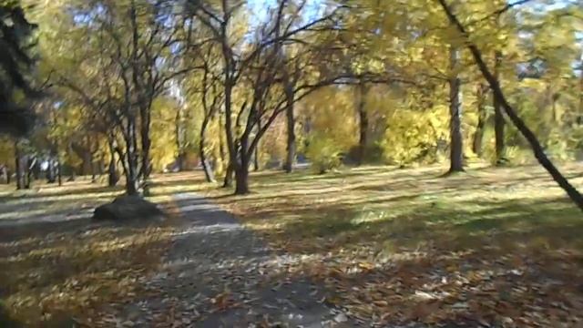 Тени дня - избытки красоты:) Осень Александра Блока.