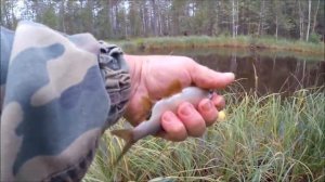 Рыбалка Робинzона