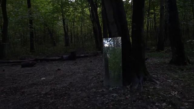 Портал в лесу. Грибы и всё такое... смотреть онлайн