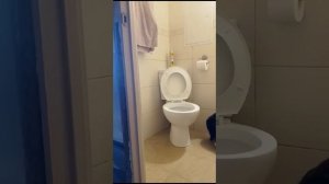 Кошка Рената ходит  на унитаз.