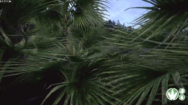 Bait N' Switch! The Isle Ptera смотреть онлайн