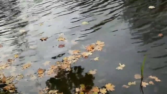 История одной любви смотреть онлайн