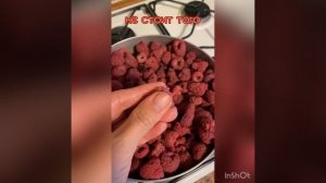 Сушка малины в дегидраторе или на солнце