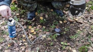 Прогулка за грибами.