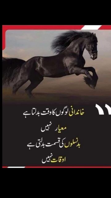 khandani log\acchi baten\aqwal\urdu\urdu poetry\islamic videos#youtubeshorts #shorts смотреть онлайн