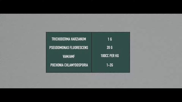 Nursery Soil Mixture смотреть онлайн
